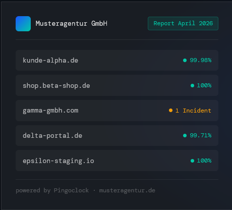 Agentur Lösung Uptime Monitoring